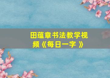 田蕴章书法教学视频《每日一字 》